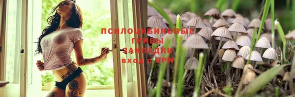 ешки Алзамай