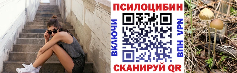 Псилоцибиновые грибы мицелий  Алзамай 